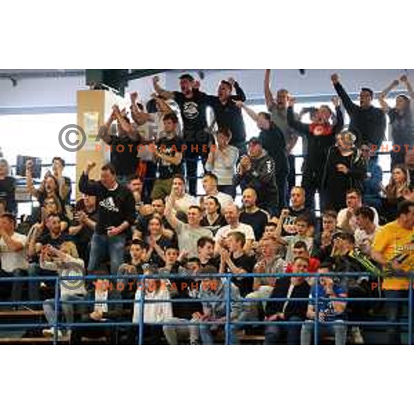In action during 1.NLB league handball match Trimo Trebnje and Celje Pivovarna Lasko in Trebnje, Slovenia on April 29, 2022