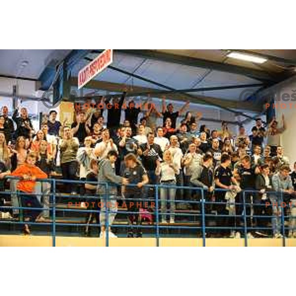 Players of Trimo Trebnje celebrate victory in 1.NLB league handball match Trimo Trebnje and Celje Pivovarna Lasko in Trebnje, Slovenia on April 29, 2022