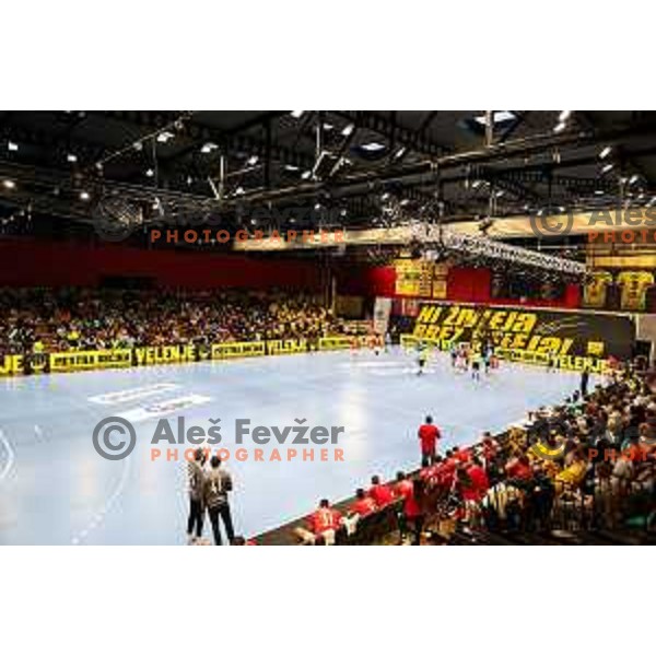 in action during fourth-final of EHF Cup handball match between Gorenje Velenje (SLO) and SL Benfica (POR) in Red Hall, Velenje, Slovenia on May 3, 2022