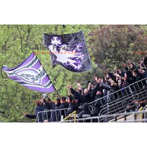 in action during Prva Liga Telemach football match between Bravo and Maribor in Ljubljana, Slovenia on May 7, 2022