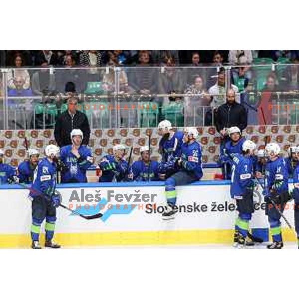 Tomaz Razingar and Matjaz Kopitar during IIHF Ice-hockey World Championship 2022 division I group A match between Slovenia and South Korea in Ljubljana, Slovenia on May 8, 2022