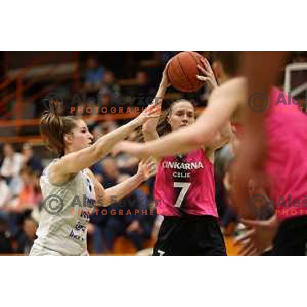 Gala Krasmzaer and Marusa Senicar in action during Final of 1.SKL Women basketball match between Triglav and Cinkarna Celje in Kranj, Slovenia on May 8, 2022