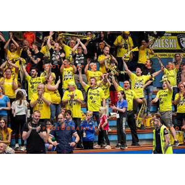 Saleski grascaki, fans of Gorenje in action during semi final of Slovenian handball cup match between Gorenje Velenje and Celje Pivovarna Lasko in Slovenj Gradec, Slovenia on May 14, 2022