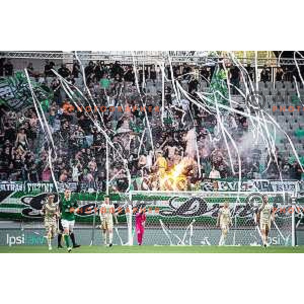 Green Dragons during Prva liga Telemach football match between Olimpija and Mura in Stožice, Ljubljana, Slovenia on May 15, 2022. Photo: Jure Banfi/www.alesfevzer.com