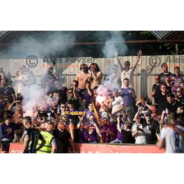 Maribor supporters during Prva liga Telemach football match between Mura and Maribor in Fazanerija, Murska Sobota, Slovenia on May 22, 2022. Photo: Jure Banfi/www.alesfevzer.com