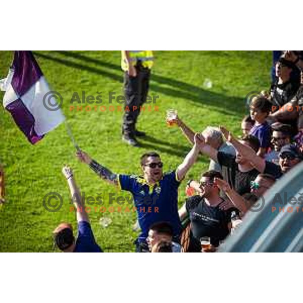 Maribor supporter during Prva liga Telemach football match between Mura and Maribor in Fazanerija, Murska Sobota, Slovenia on May 22, 2022. Photo: Jure Banfi/www.alesfevzer.com