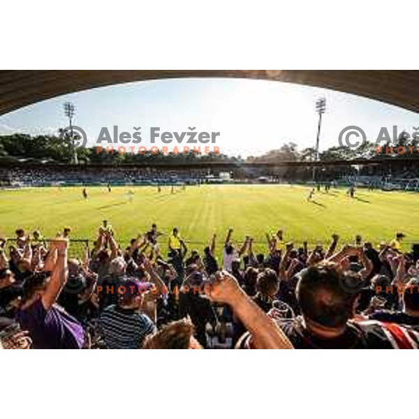 Viole celebrating during Prva liga Telemach football match between Mura and Maribor in Fazanerija, Murska Sobota, Slovenia on May 22, 2022. Photo: Jure Banfi/www.alesfevzer.com
