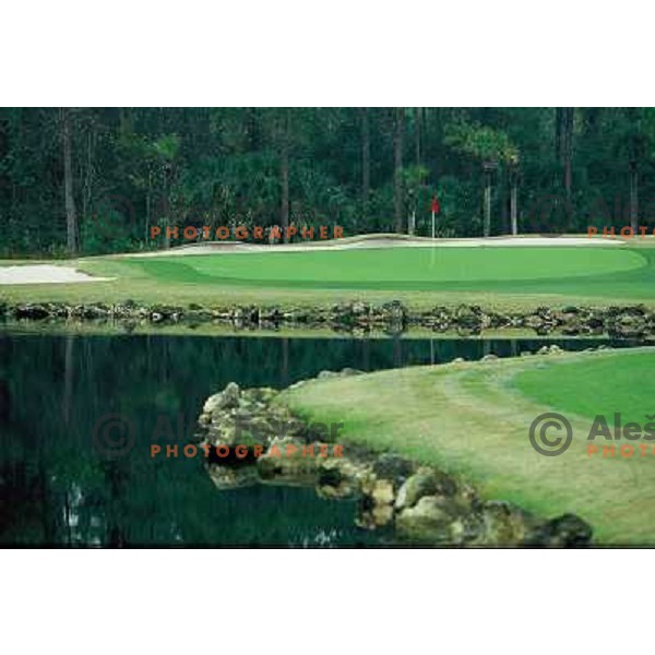 Magnolia course, Disneyland Resort, Orlando, Florida, USA 