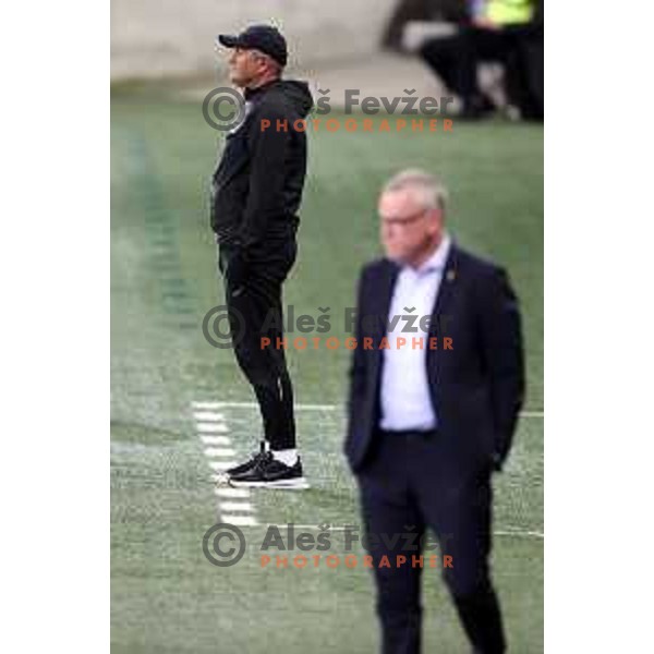 Matjaz Kek during UEFA Nations league football match between Slovenia and Sweden in SRC Stozice, Ljubljana, Slovenia on June 2, 2022