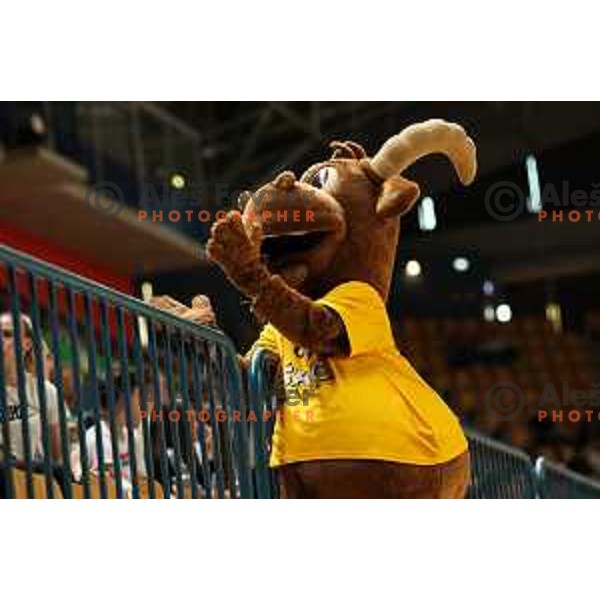 in action during friendly match between Celje Pivovarna Lasko and Barcelona in Celje, Slovenia on June 11, 2022
