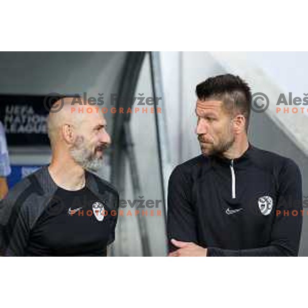 Bostjan Cesar during UEFA Nations league football match between Slovenia and Serbia in SRC Stozice, Ljubljana, Slovenia on June 12, 2022 