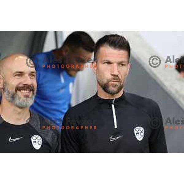 Bostjan Cesar during UEFA Nations league football match between Slovenia and Serbia in SRC Stozice, Ljubljana, Slovenia on June 12, 2022 