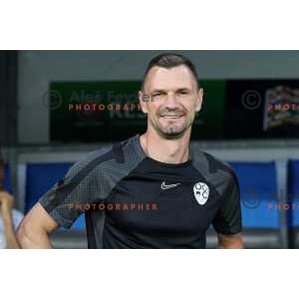 Milivoje Novakovic during UEFA Nations league football match between Slovenia and Serbia in SRC Stozice, Ljubljana, Slovenia on June 12, 2022