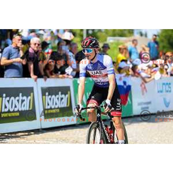 Tadej Pogacar at second stage of professional cycling race Dirka po Sloveniji- Tour of Slovenia from Ptuj to Rogaska Slatina on June 16, 2022