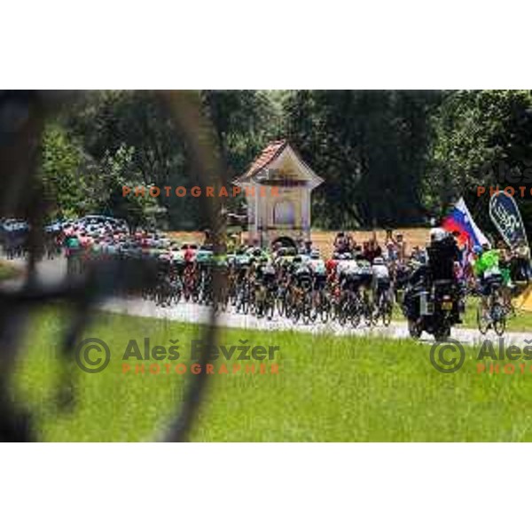 At second stage of professional cycling race Dirka po Sloveniji- Tour of Slovenia from Ptuj to Rogaska Slatina on June 16, 2022