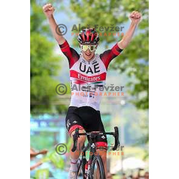 Tadej Pogacar, winner of third stage of professional cycling race Dirka po Sloveniji- Tour of Slovenia from Zalec to Celje on June 17, 2022