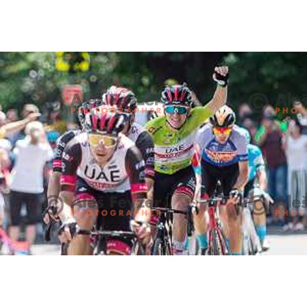 Tadej Pogacar during fourth stage of professional cycling race Dirka po Sloveniji- Tour of Slovenia from Vrhnika to Velika Planina on June 18, 2022