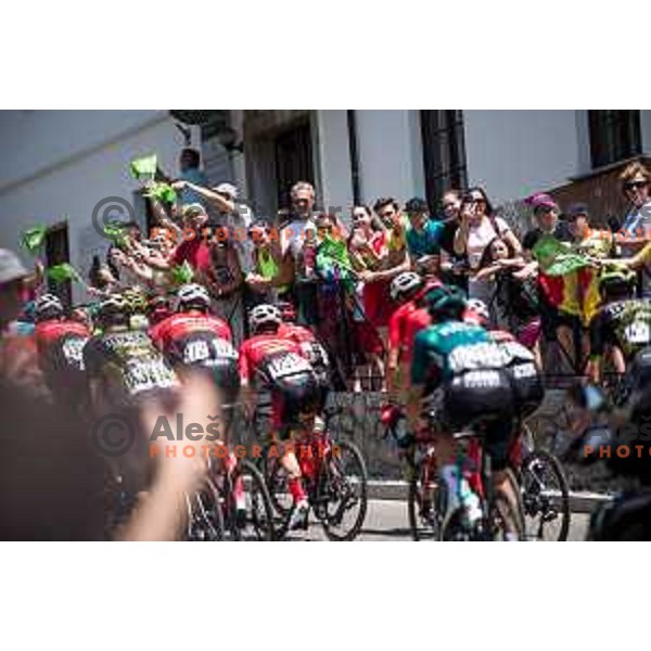 At fourth stage of professional cycling race Dirka po Sloveniji- Tour of Slovenia from Vrhnika to Velika Planina on June 18, 2022