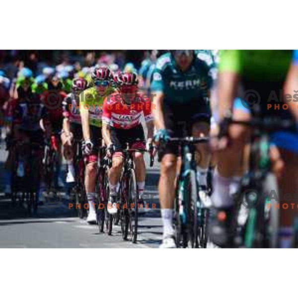 Tadej Pogacar (UAE) winner of fifth stage of professional cycling race and overall winner of Dirka po Sloveniji- Tour of Slovenia from Vrhnika to Novo Mesto on June 19, 2022