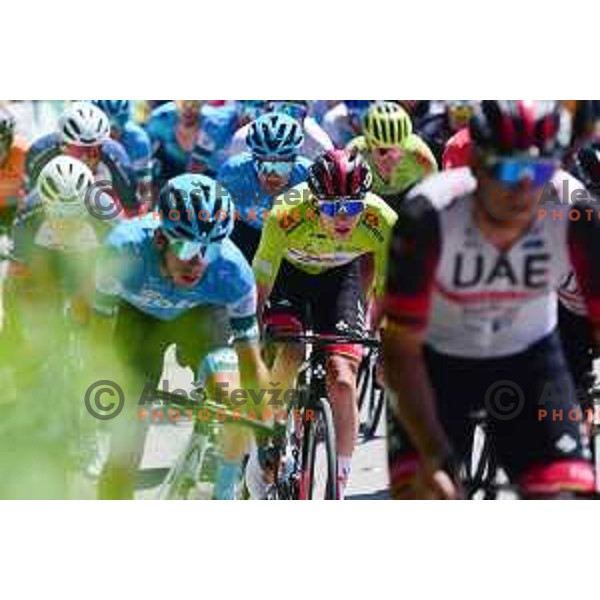 Tadej Pogacar (UAE) winner of fifth stage of professional cycling race and overall winner of Dirka po Sloveniji- Tour of Slovenia from Vrhnika to Novo Mesto on June 19, 2022