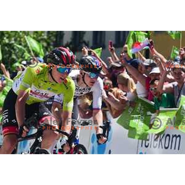 Tadej Pogacar (UAE) winner of fifth stage of professional cycling race and runner-up Matej Mohoric at Dirka po Sloveniji- Tour of Slovenia from Vrhnika to Novo Mesto on June 19, 2022