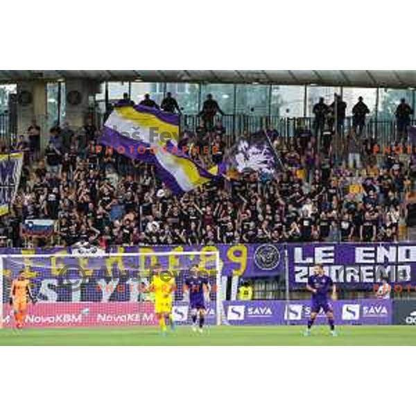 Viole Maribor during UEFA Champions League qualifier between Maribor (SLO) and Shakhtyor Soligorsk (BLR) in Ljudski vrt, Maribor, Slovenia on July 6, 2022