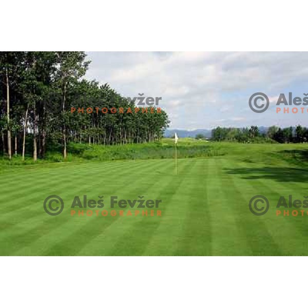 Golf course Trnovo, green of hole nr.3 