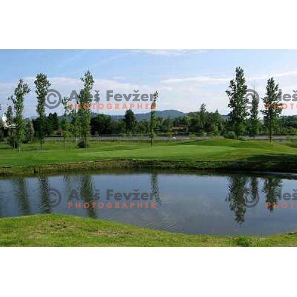Golf course Trnovo, green of hole nr.2 