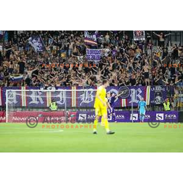 Viole Maribor in action during UEFA Champions League qualifier between Maribor (SLO) and Sheriff Tiraspol (MOL) in Ljudski vrt, Maribor, Slovenia on July 20, 2022