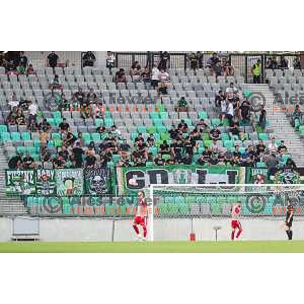 in action during UEFA Conference league qualifyer between Olimpija and Sepsi OSK in Arena Stozice, Ljubljana, Slovenia on July 28, 2022