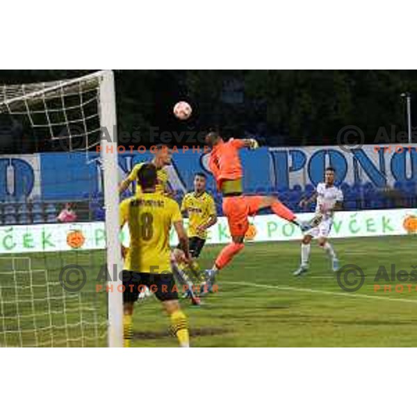 in action during Prva Liga Telemach 2022-2023 football match between Gorica and Kalcer Radomlje in Gorica, Slovenia on July 29, 2022