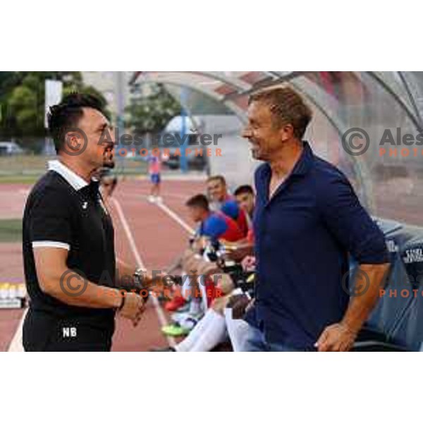 Nermin Basic and Miran Srebrnic during Prva Liga Telemach 2022-2023 football match between Gorica and Kalcer Radomlje in Gorica, Slovenia on July 29, 2022