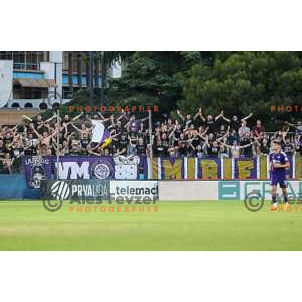 Viole Maribor in action during Prva liga Telemach match between Koper and Maribor at Arena Bonifika, Koper, Slovenia on July 31, 2022