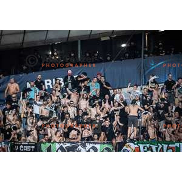 Green Dragons during Prva liga Telemach football match between Maribor and Olimpija in Ljudski vrt, Maribor, Slovenia on August 7, 2022. Photo: Jure Banfi