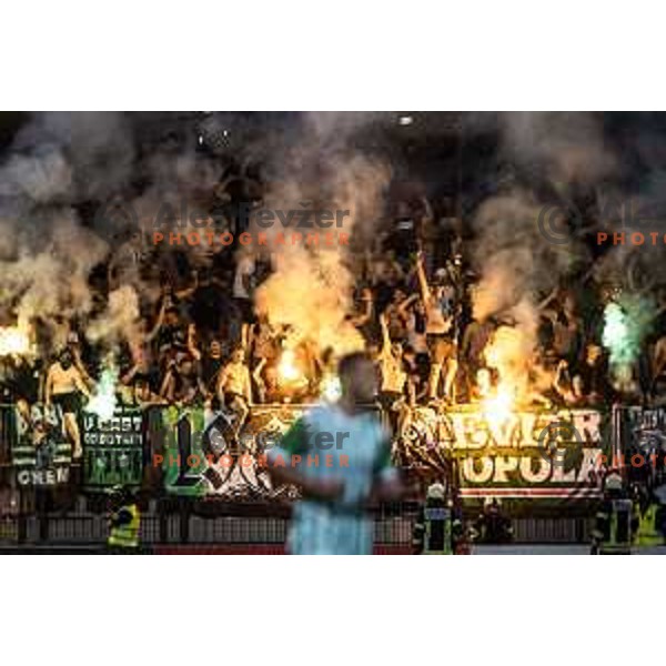 Green Dragons during Prva liga Telemach football match between Maribor and Olimpija in Ljudski vrt, Maribor, Slovenia on August 7, 2022. Photo: Jure Banfi