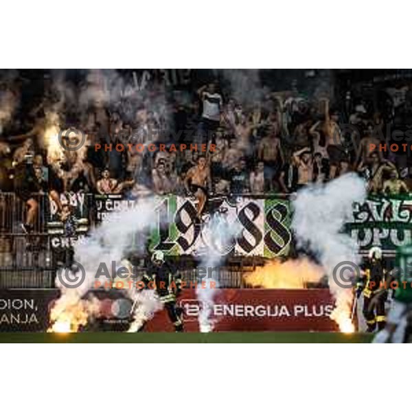 Green Dragons during Prva liga Telemach football match between Maribor and Olimpija in Ljudski vrt, Maribor, Slovenia on August 7, 2022. Photo: Jure Banfi