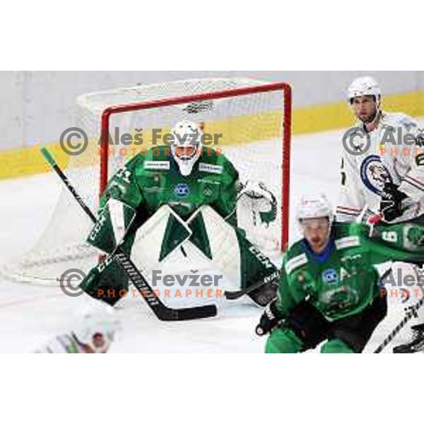 Anthony Morrone in action during preseason Ice hockey match between SZ Olimpija (SLO) and MAC (HUN) in Tivoli Hall, Ljubljana on August 13, 2022