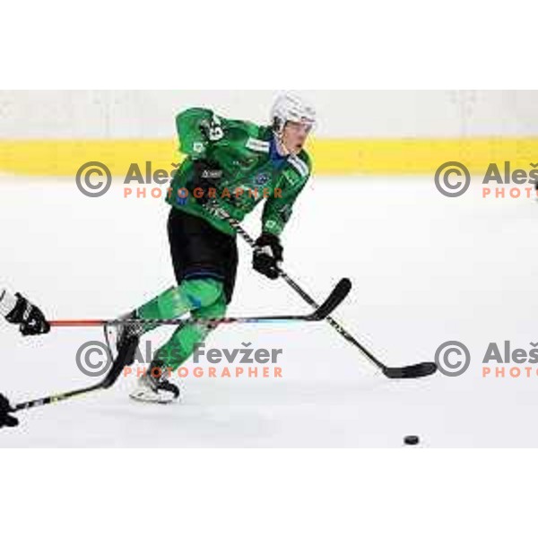 Ziga Mehle in action during preseason Ice hockey match between SZ Olimpija (SLO) and MAC (HUN) in Tivoli Hall, Ljubljana on August 13, 2022