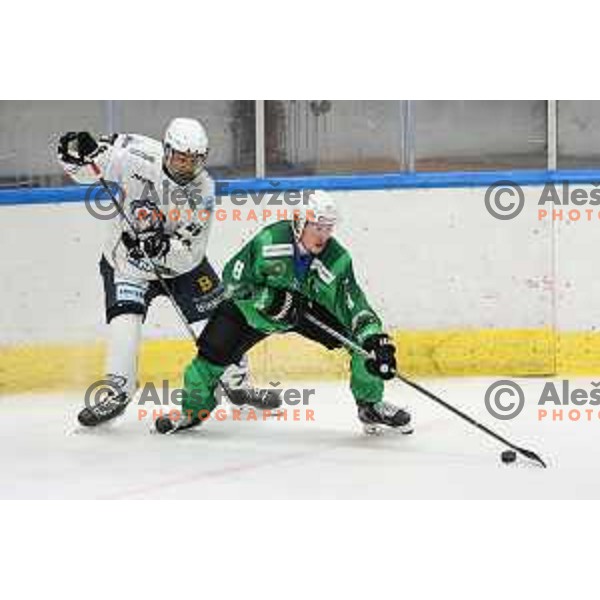 Chris Dodero in action during preseason Ice hockey match between SZ Olimpija (SLO) and MAC (HUN) in Tivoli Hall, Ljubljana on August 13, 2022