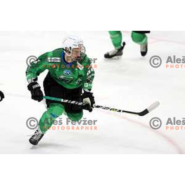 Urban Podrekar in action during preseason Ice hockey match between SZ Olimpija (SLO) and MAC (HUN) in Tivoli Hall, Ljubljana on August 13, 2022