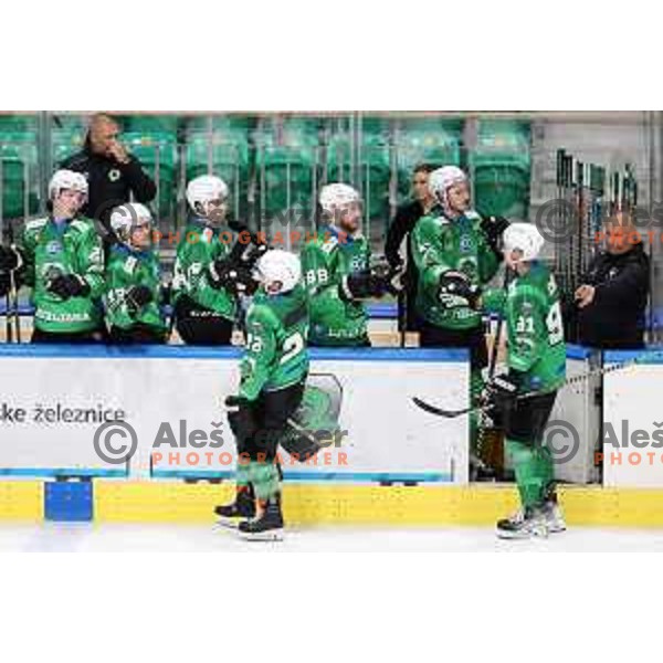 in action during preseason Ice hockey between SZ Olimpija (SLO) and MAC (HUN) in Tivoli Hall, Ljubljana