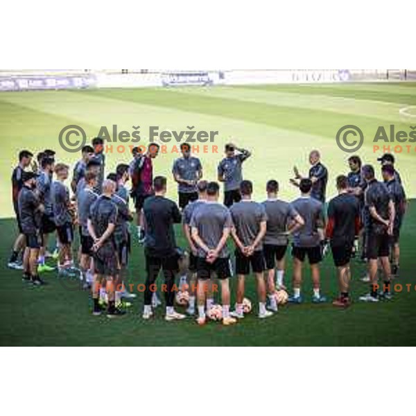 Damir Krznar, head coach of Maribor during official training in Ljudski vrt, Maribor, Slovenia on August 17, 2022. Photo: Jure Banfi