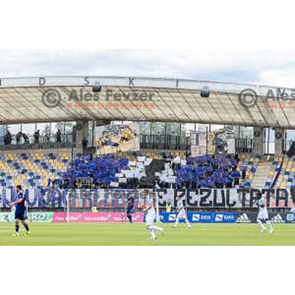 Viole during Prva liga Telemach football match between Maribor and Celje in Ljudski vrt, Maribor, Slovenia on August 21, 2022. Photo: Jure Banfi
