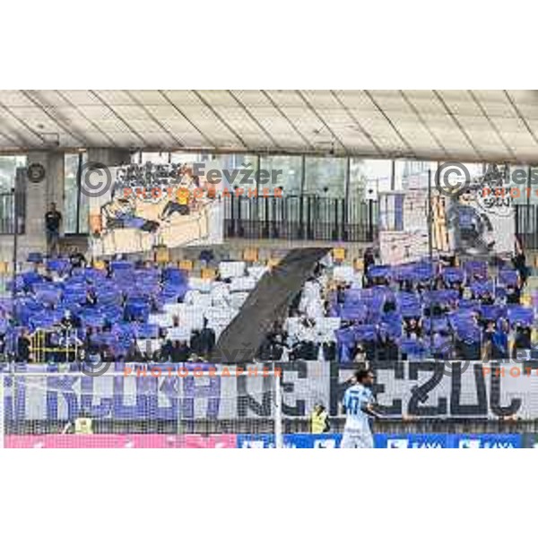 Viole during Prva liga Telemach football match between Maribor and Celje in Ljudski vrt, Maribor, Slovenia on August 21, 2022. Photo: Jure Banfi