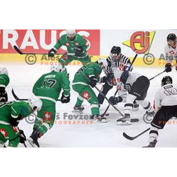 of SZ Olimpija during CHL Champions League ice-hockey match between SZ Olimpija (SLO) and Turku (FIN) in Tivoli Hall, Ljubljana, Slovenia on September 8, 2022