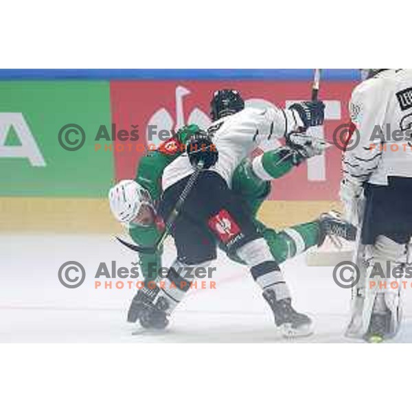 of SZ Olimpija during CHL Champions League ice-hockey match between SZ Olimpija (SLO) and Turku (FIN) in Tivoli Hall, Ljubljana, Slovenia on September 8, 2022