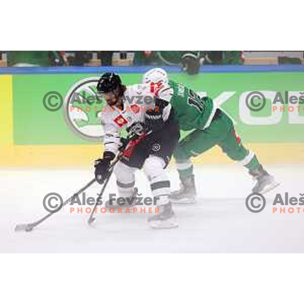 of SZ Olimpija during CHL Champions League ice-hockey match between SZ Olimpija (SLO) and Turku (FIN) in Tivoli Hall, Ljubljana, Slovenia on September 8, 2022