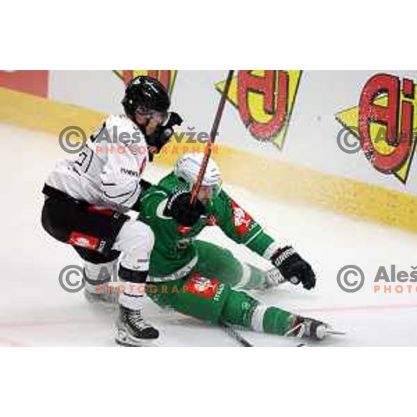 of SZ Olimpija during CHL Champions League ice-hockey match between SZ Olimpija (SLO) and Turku (FIN) in Tivoli Hall, Ljubljana, Slovenia on September 8, 2022