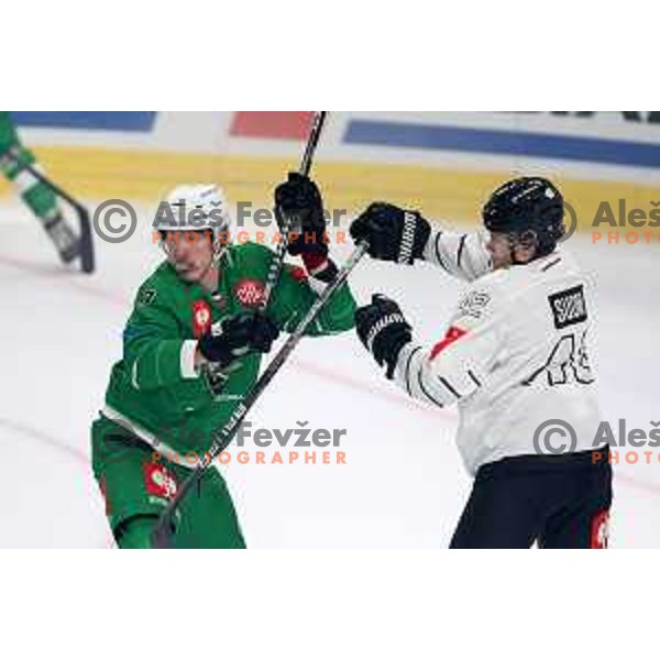 Ziga Mehle of SZ Olimpija during CHL Champions League ice-hockey match between SZ Olimpija (SLO) and Turku (FIN) in Tivoli Hall, Ljubljana, Slovenia on September 8, 2022