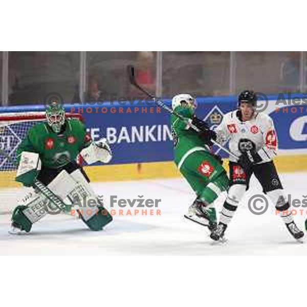 of SZ Olimpija during CHL Champions League ice-hockey match between SZ Olimpija (SLO) and Turku (FIN) in Tivoli Hall, Ljubljana, Slovenia on September 8, 2022